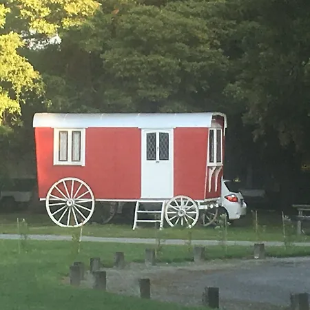 Greytown Campground-2